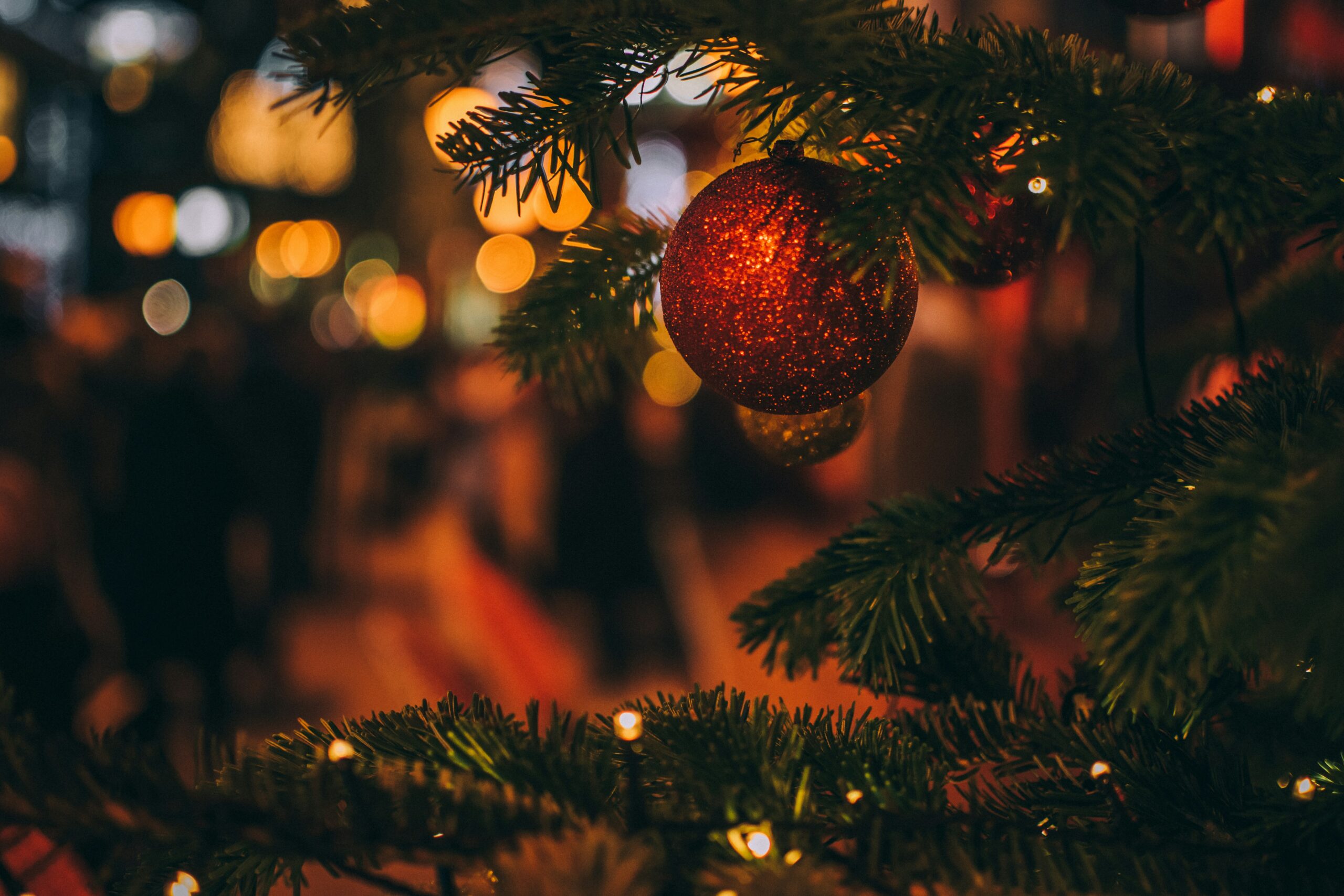 A lit Christmas tree at the egm Family Shelter, where Wrapped in Hope gifts are shared